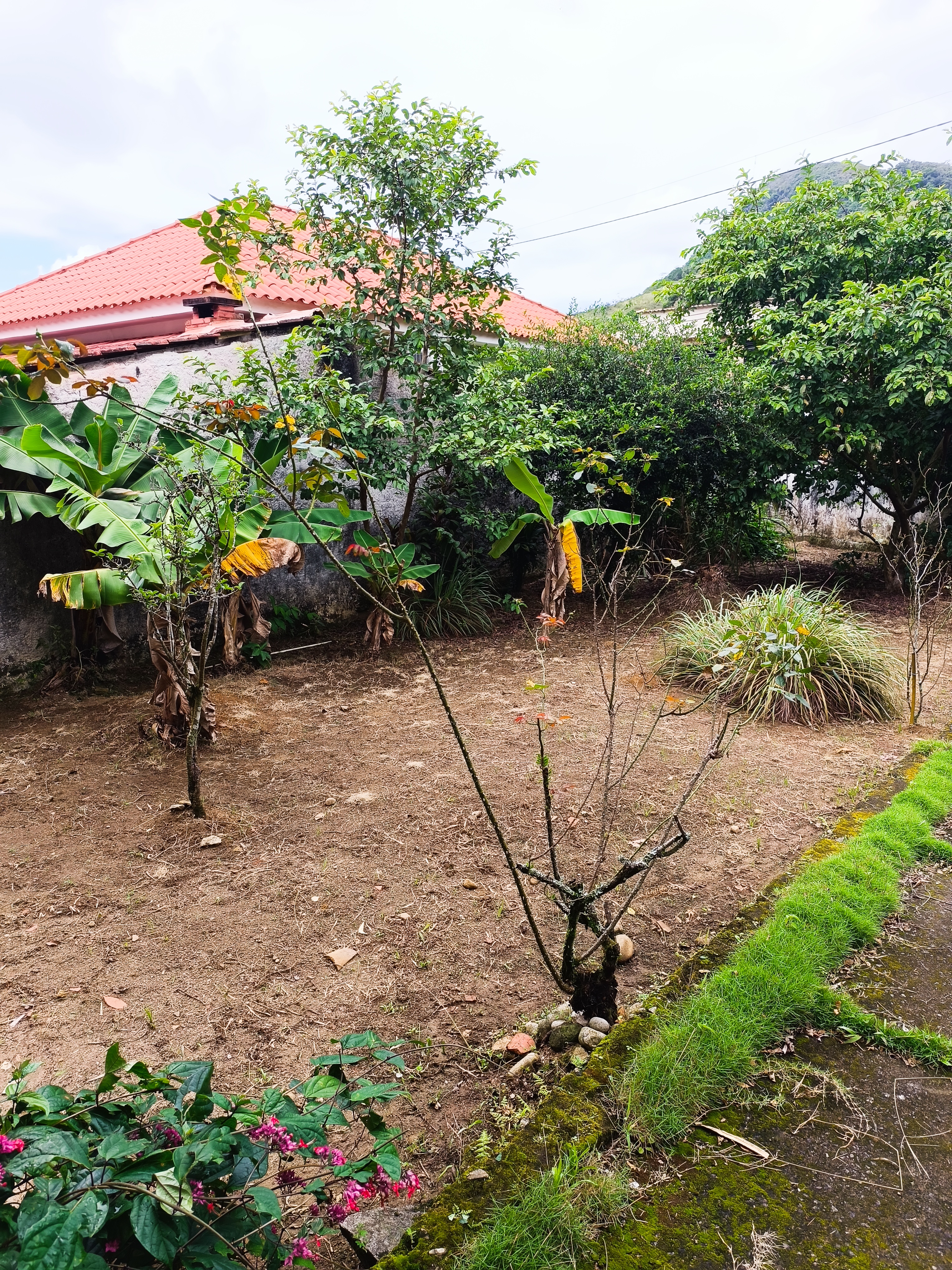 Casa linda em Santo Aleixo