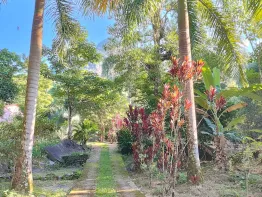 Sítio em Santo Aleixo